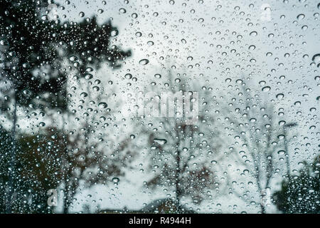 Drops of rain on the window; blurred trees in the background Stock Photo