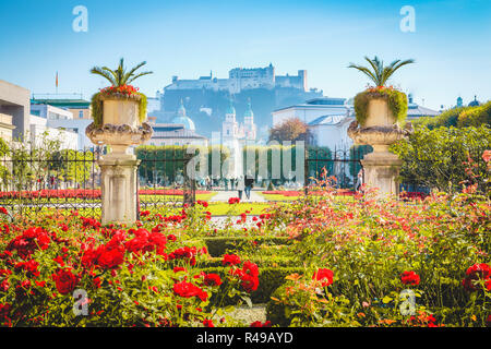 Classic view of famous Mirabell Gardens with historic Hohensalzburg Fortress in the background on a sunny day in fall in Salzburg, Austria Stock Photo