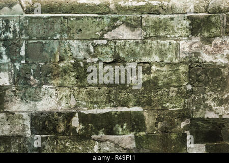 background texture, the surface of old concrete slab covered with moss or algae. Stock Photo