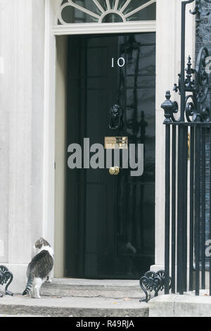 London UK. 26th November 2018. Larry the Chief mouser to the Cabinet Office stands at the door of 10 Downing Street Credit: amer ghazzal/Alamy Live News Stock Photo