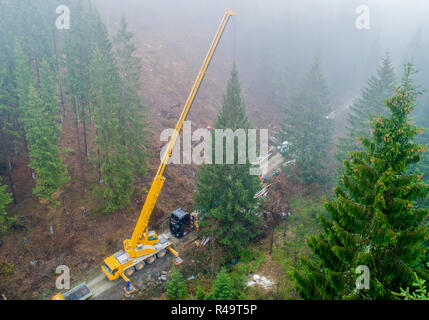 Altenau, Germany. 26th Nov, 2018. A conifer tree over 20 metres in size hangs on a crane after tree felling (aerial photograph with drone). Also this year the big Christmas tree for the Berlin Reichstag comes from the Harz Mountains. The 62-year-old tree from the Lower Saxony state forests was felled near the Oker dam. A heavy transport brings the tree overnight to the capital. Credit: Julian Stratenschulte/dpa/Alamy Live News Stock Photo