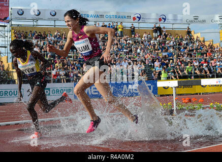 Ostrava, Czech Republic. 17th June, 2014. An athletescompetes in the 30000 Metres Steeplechase Women at the Golden Spike (Zlata Tretra) athletic meeting IAAF in Ostrava, Czech Republic, June 17, 2014./PSPA/Slavek Ruta Credit: Slavek Ruta/ZUMA Wire/Alamy Live News Stock Photo