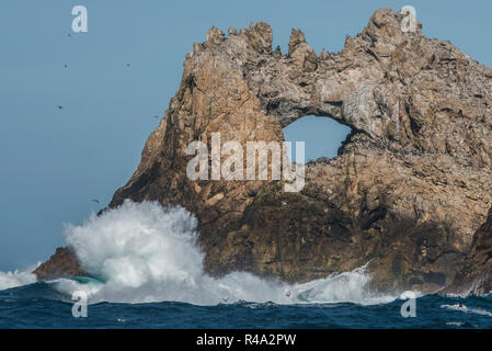 Waves crashing into the Farallon islands and a naturally formed rock arch along the shoreline.