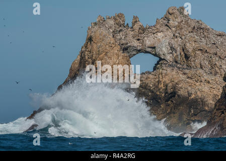 Waves crashing into the Farallon islands and a naturally formed rock arch along the shoreline.