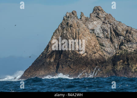 A rocky island juts out of the Pacific ocean, this is part of the Farallon islands, California.