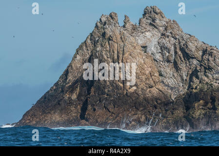 A rocky island juts out of the Pacific ocean, this is part of the Farallon islands, California.