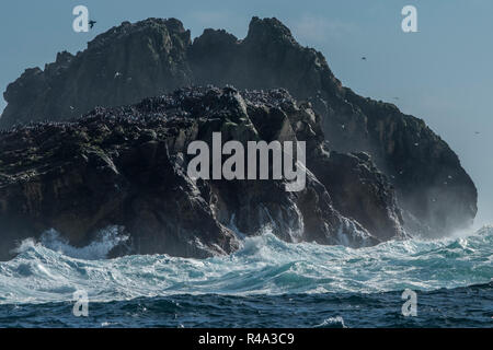 The waves crash against the shore of the Farallon islands off the coast of California, the islands are an important nesting site for pelagic birds.