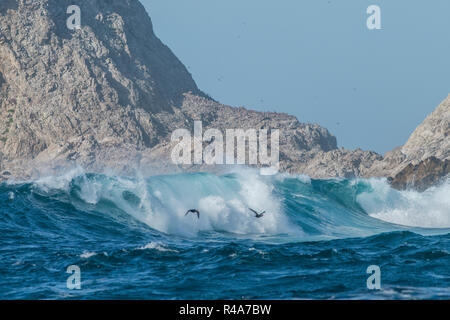 The shore of the Farallon islands during a winter storm with big waves roaring in and smashing against the shoreline.
