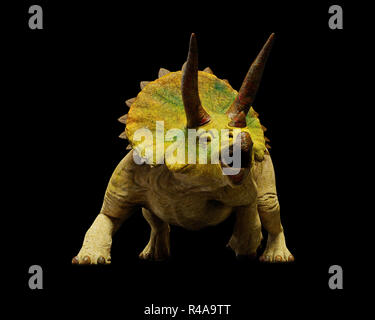 Triceratops horridus dinosaur, extinct prehistoric animal (3d render isolated on black background) Stock Photo
