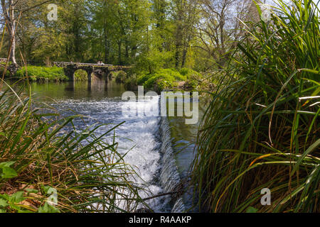 MORDEN, LONDON, ENGLAND - APRIL 19 2018: River Wandle flowing through the National Trust grounds of Morden Hall Park Stock Photo