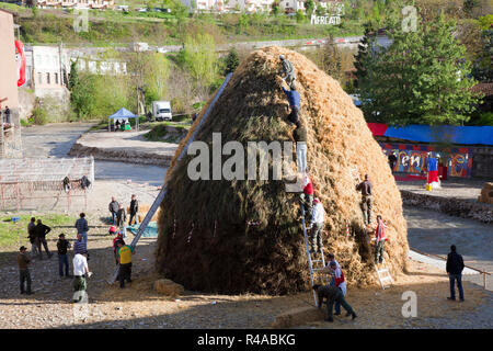 preparation of a haystack, festival of bonfires, rocca san casciano, emilia romagna, italy, europe Stock Photo