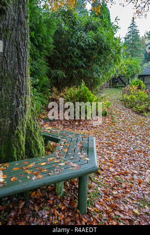 A wooden bench built around a tree trunk. Stock Photo