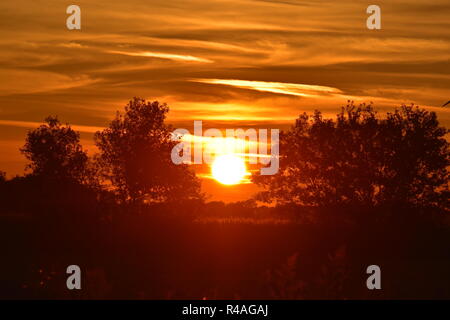 Sunset with a wind turbine, Located in Michigan. There is also a cornfield in the foreground along with some silhouettes of trees. Stock Photo
