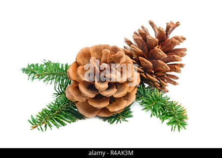 Pine tree branch with cone Christmas decoration element Stock Photo