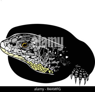 Vector graphic of female sand lizard peeking out of burrow before laying eggs with only head and one claw visible in colour. Stock Vector