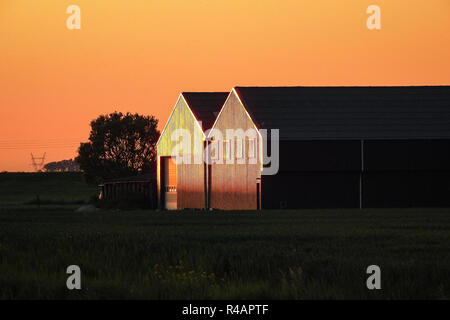 Barns illuminated by the red light of the sun. In the spring and summer these barns stand in a perfect position for the reflection of the sunlight.