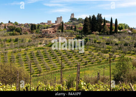 San Gimignano, Tuscany, Italy, Europe Stock Photo