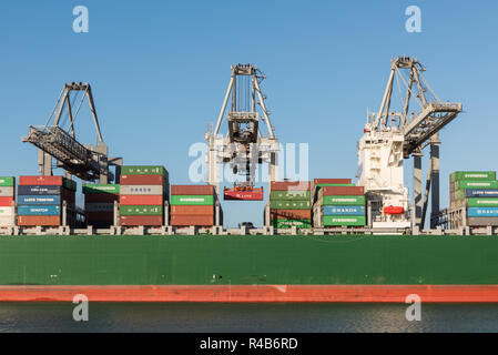 ROTTERDAM, THE NETHERLANDS - DECEMBER 4, 2015: The large container ship Thalassa Doxa is moored for unloading at the ECT Delta Terminal at the Maasvla Stock Photo