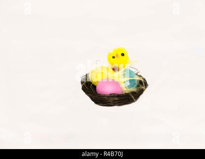 Easter chick on nest with three eggs Stock Photo