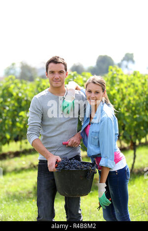 Cheerful winegrowers standing in vine rows Stock Photo