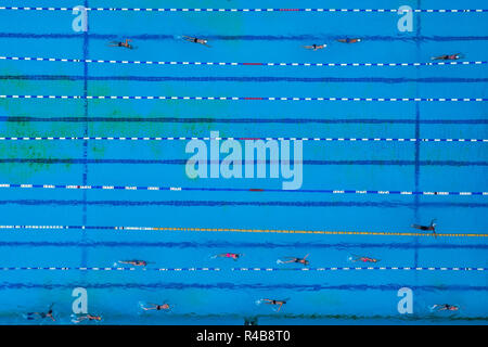 Aerial view of swimming pool with marked lanes and swimmers Stock Photo