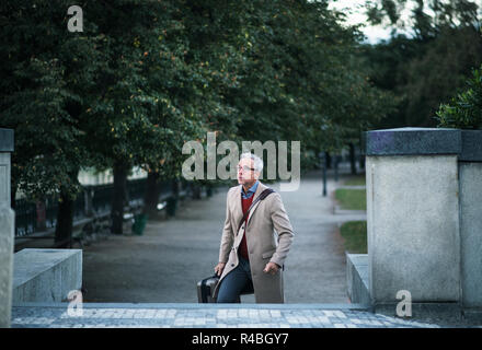 Mature businessman with suitcase walking up the stairs in a park in a city. Stock Photo