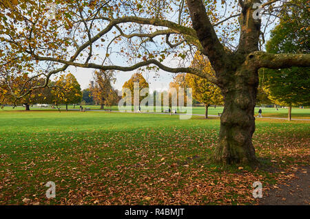 Clissold Park, Stoke Newington, London UK, in autumn Stock Photo
