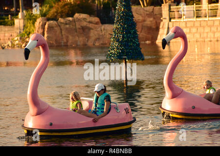 Orlando, Florida. November 19, 2018.  People enjoying swan paddle boats on sunset in International Drive area. Stock Photo