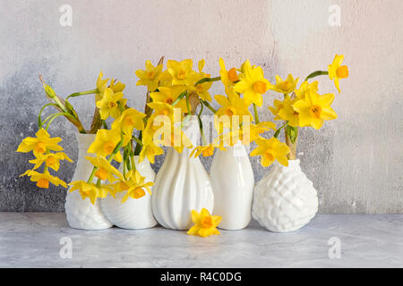 Close-up, still-life image of the beautiful spring flowers of Narcissus 'Tete-a-Tete' a dwarf Daffodil. cut flowers in white porcelain vases Stock Photo