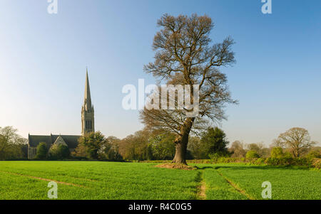 South Dalton, Yorkshire, UK. St Mary's Church flanked by trees and fields on a clear bright dawn morning in spring, South Dalton, Yorkshire, UK. Stock Photo