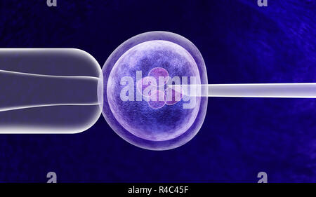Gene editing in vitro genetic CRISPR genome engineering medical biotechnology health care concept with a fertilized human egg embryo. Stock Photo