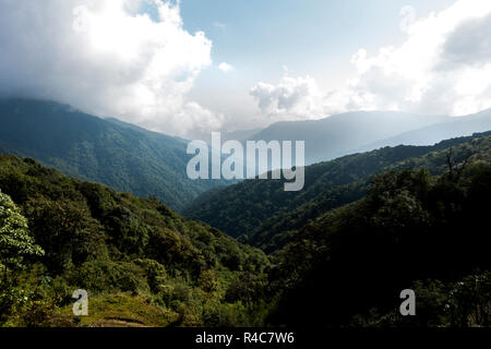 Red Panda habitat at Singalila National Park in India - Nepal region. Stock Photo