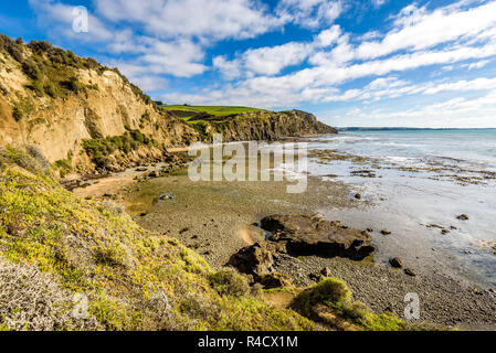 Beautiful landscape at Bushy Beach scenic reserve a popular spot for ...