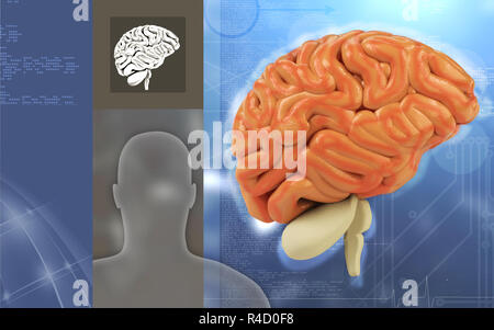 Brain Stock Photo