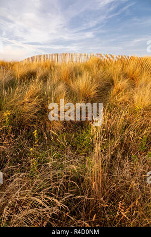 Grass covered sand dune with fence at Llandudno on the North Wales coast Stock Photo