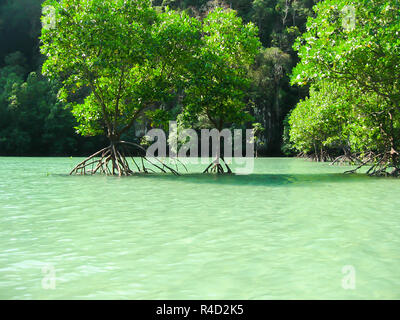 Tropical landscape. Railay beach, Krabi, Thailand Stock Photo