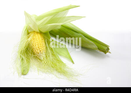 Corn cobs with light background and copyspace to add some text to the side Stock Photo