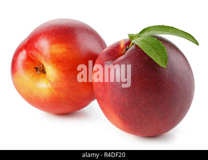 Peaches or nectarines with leaf on white background Stock Photo
