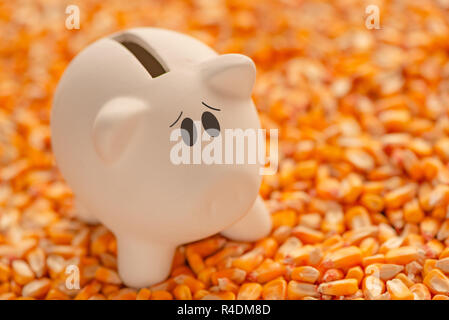 Piggy bank on pile of harvested corn seed with copy space as conceptual image for financial savings and retirement plan in agriculture and farming bus Stock Photo