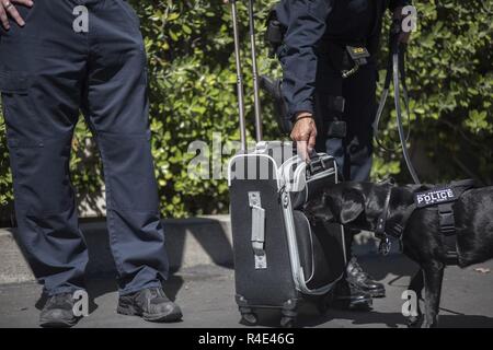 https://l450v.alamy.com/450v/r4e46g/explosive-detection-k-9-bell-and-her-handler-members-of-the-san-francisco-police-department-airport-bureau-hone-their-explosive-ordnance-detection-skills-at-berkeley-marina-in-berkeley-calif-tuesday-may-2-2017-federal-state-and-local-k-9-teams-participated-in-a-joint-maritime-training-event-bomb-dogs-by-the-bay-that-included-luggage-and-vehicle-sweeps-passenger-screenings-and-boat-familiarization-coast-guard-r4e46g.jpg