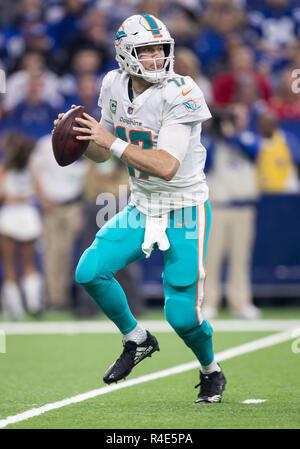 Indianapolis, Indiana, USA. 25th Nov, 2018. Miami Dolphins quarterback ...
