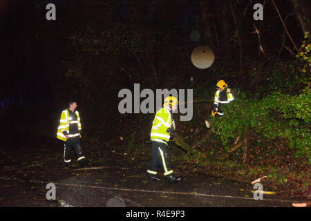 Crosshaven, Cork, Ireland. 27th Nov 2018. Fire service personel work to open the road after a tree fell and blocked the road after heavy rain and high winds at Drakes Pool outside Crosshaven, Co. Cork. Credit: David Creedon/Alamy Live News Stock Photo