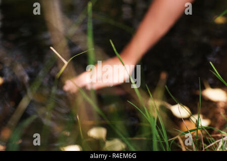 Woman dipping her hand in a river, Bulgaria Stock Photo