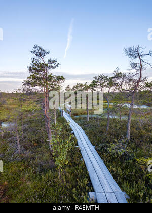 Moody Drone Photo of Colorful Moorland in Early Summer Sunrise with a Wooden Path Through it Stock Photo
