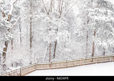 Wooden fence by house, home with lawn covered in white snow, snowing, heavy snowstorm, storm, pine trees branches, backyard, front yard by house, home Stock Photo