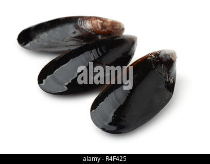 Three black whole shell mussels isolated on white Stock Photo