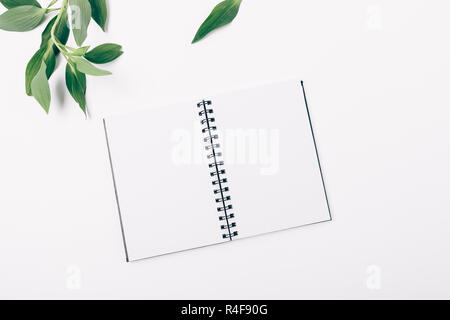 Flat lay open blank notebook and fresh green leaves on white background, top view. Stock Photo