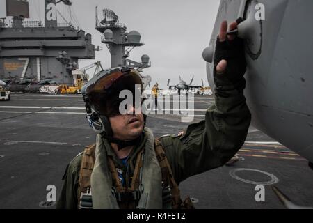 PACIFIC OCEAN (May 3, 2017) Cmdr. Ladislao Montero, executive officer of the 'Cougars' of Electronic Attack Strike Squadron (VAQ) 139, performs his pre-flight inspections on an EA-18G Growler aboard the aircraft carrier USS Theodore Roosevelt (CVN 71) during a group sail training unit exercise. The exercise is the first step in the ship's integrated training phase and aims to enhance mission-readiness and warfighting capabilities between the ship, airwing and the staff through simulated real-world scenarios. Stock Photo
