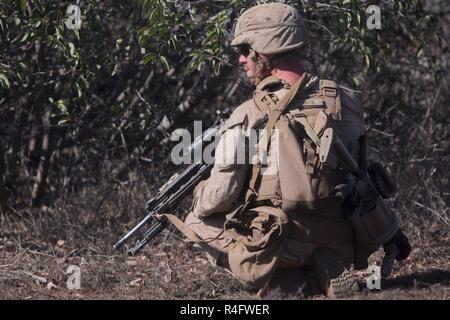 Lance Cpl. Seth Trunick, a scout rifleman with 1st Light Armored Reconnaissance Battalion, 1st Marine Division, takes a kneeling position while patrolling during a field exercise aboard Marine Corps Base Camp Pendleton, Calif., Oct. 25, 2016. The exercise was held as part of a week-long Marine Corps Combat Readiness Evaluation. Marines undergo MCCREs to ensure combat readiness before deployments. Scout riflemen carry out patrols on foot in a four or five man fire team. Stock Photo