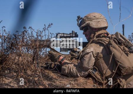 Lance Cpl. Seth Trunick, a scout rifleman with 1st Light Armored Reconnaissance Battalion, 1st Marine Division, takes up a firing position during a field exercise aboard Marine Corps Base Camp Pendleton, Calif., Oct. 25, 2016. The exercise was held as part of a week-long Marine Corps Combat Readiness Evaluation to ensure combat readiness before deployments.  This training allows Marines to become proficient and comfortable with their weapon systems in a realistic environment. Stock Photo